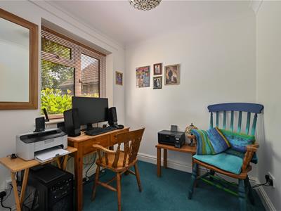 Picture 8